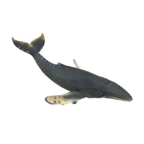 Collecta Sealife Model - 88347 Humpback Whale | Shopee Malaysia