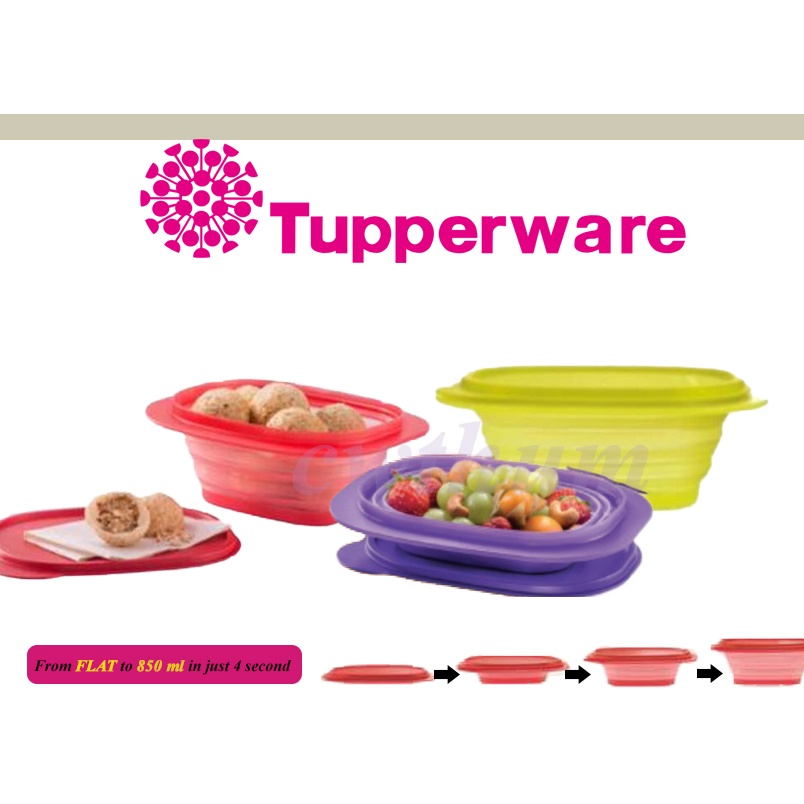 Clearance!!! Tupperware Go Flex Rectangular 850ml (1pc) | Shopee Malaysia