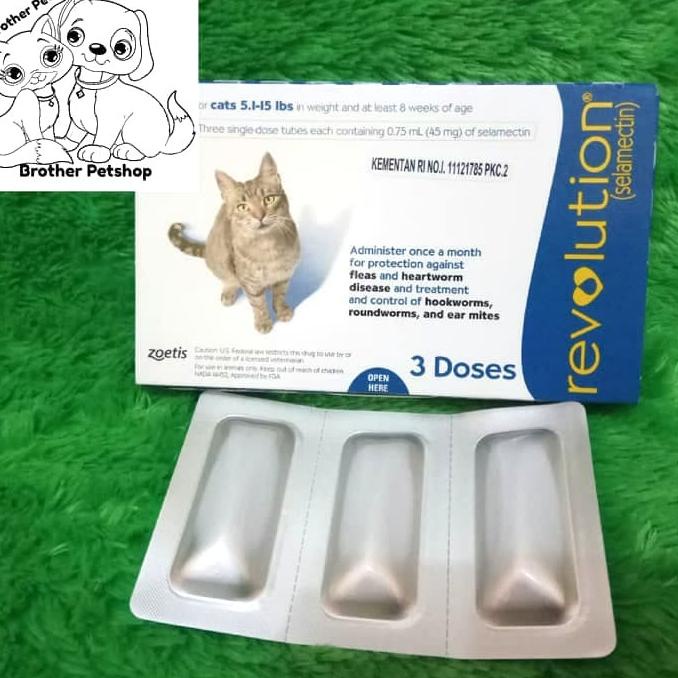 Revolution Cat / Adult Cat Revolution / Revolution HRG Cat Lice