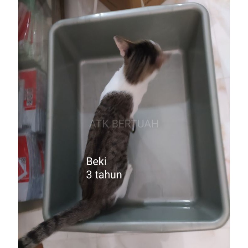 Jumbo PLASTIC LITTER BOX PLASTIC BOX Cat TOILET Sand Tub Shopee Malaysia