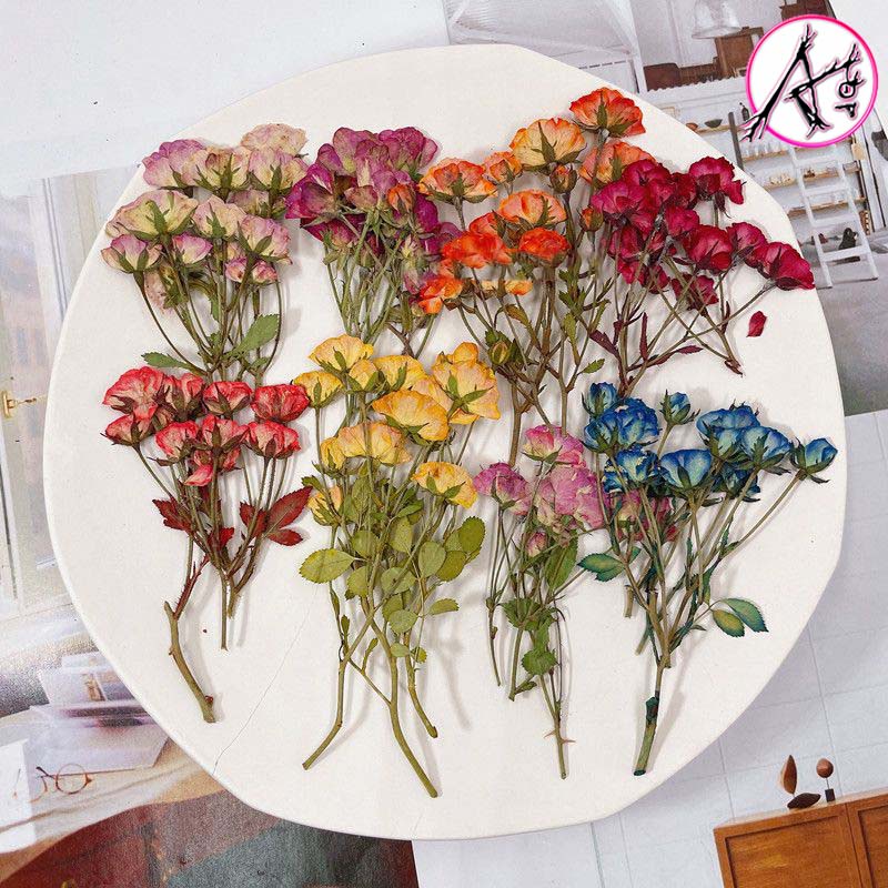 Multicolour Dyeing Dried Rose Pressed Flowers DIY Resin Ab Glue DIY ...