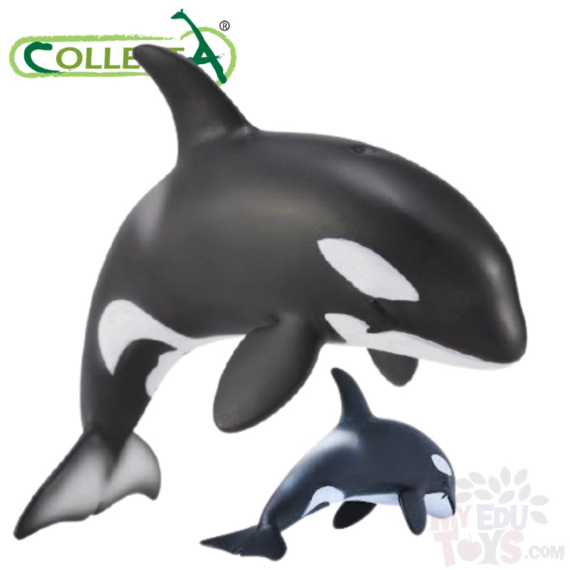 Orca Calf - Collecta 88618 Ocean Sea Life Animal Action Figures