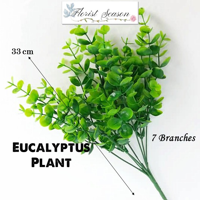 Artificial Eucalyptus Leaf / Daun Hiasan / Rumput Hijau / Green Plant ...