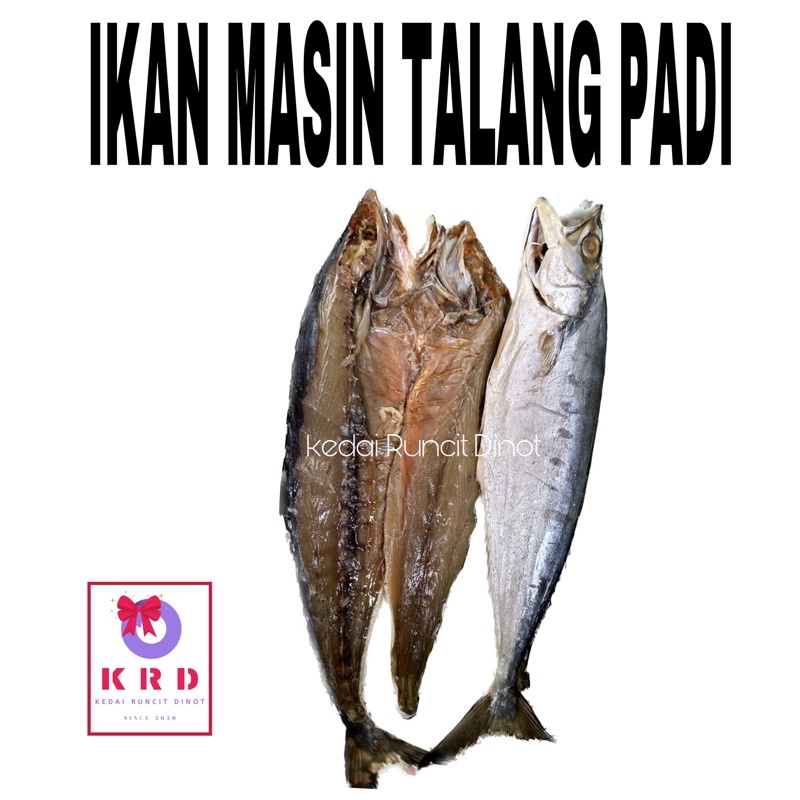 Ikan Masin Talang Padi Tanjung Dawai Kedah Vacuum Pack Shopee Malaysia