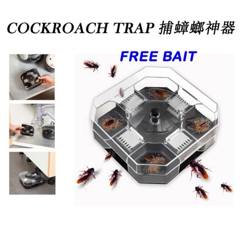 KR8430 Cockroach Trap Box Non Toxic Insert Killer Catcher | Shopee Malaysia