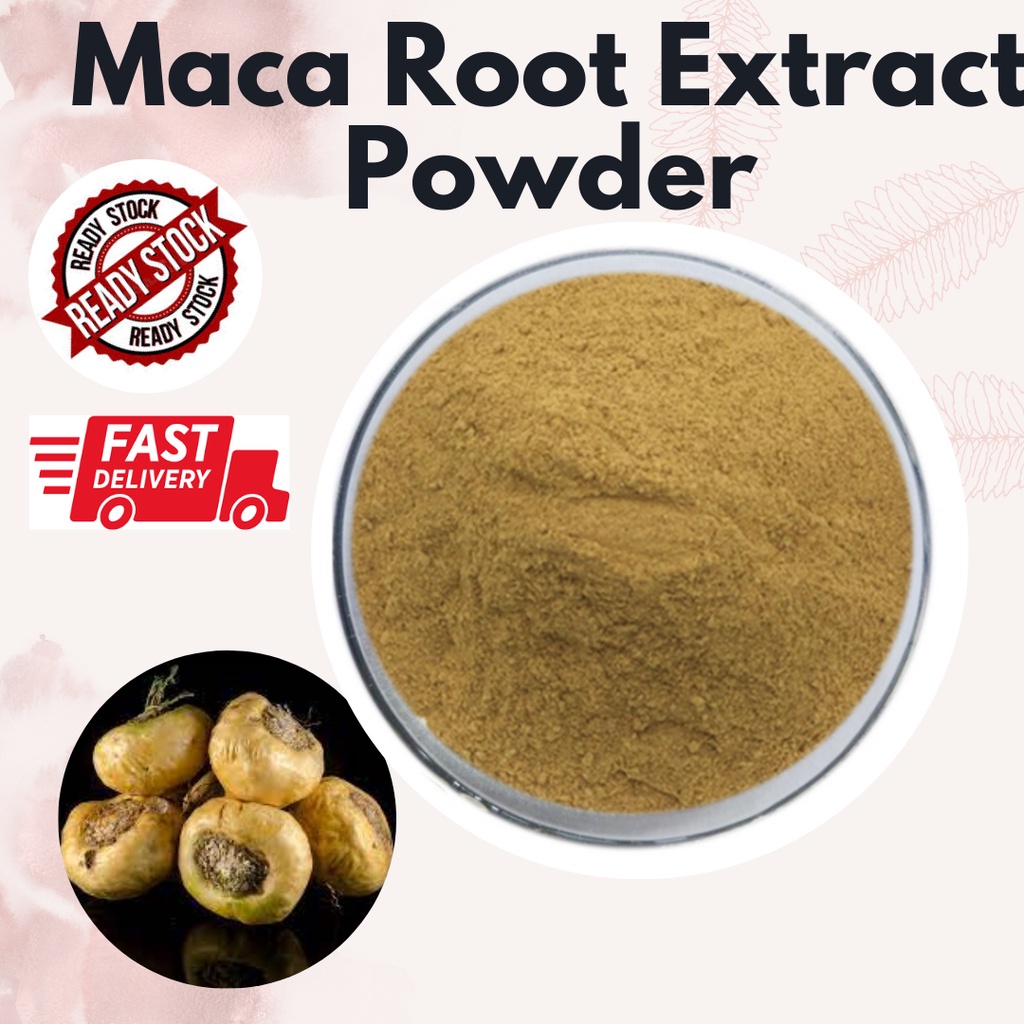 Maca Root Powder Extract / Lepidium meyenii/ 玛卡粉 - 10g | Shopee Malaysia
