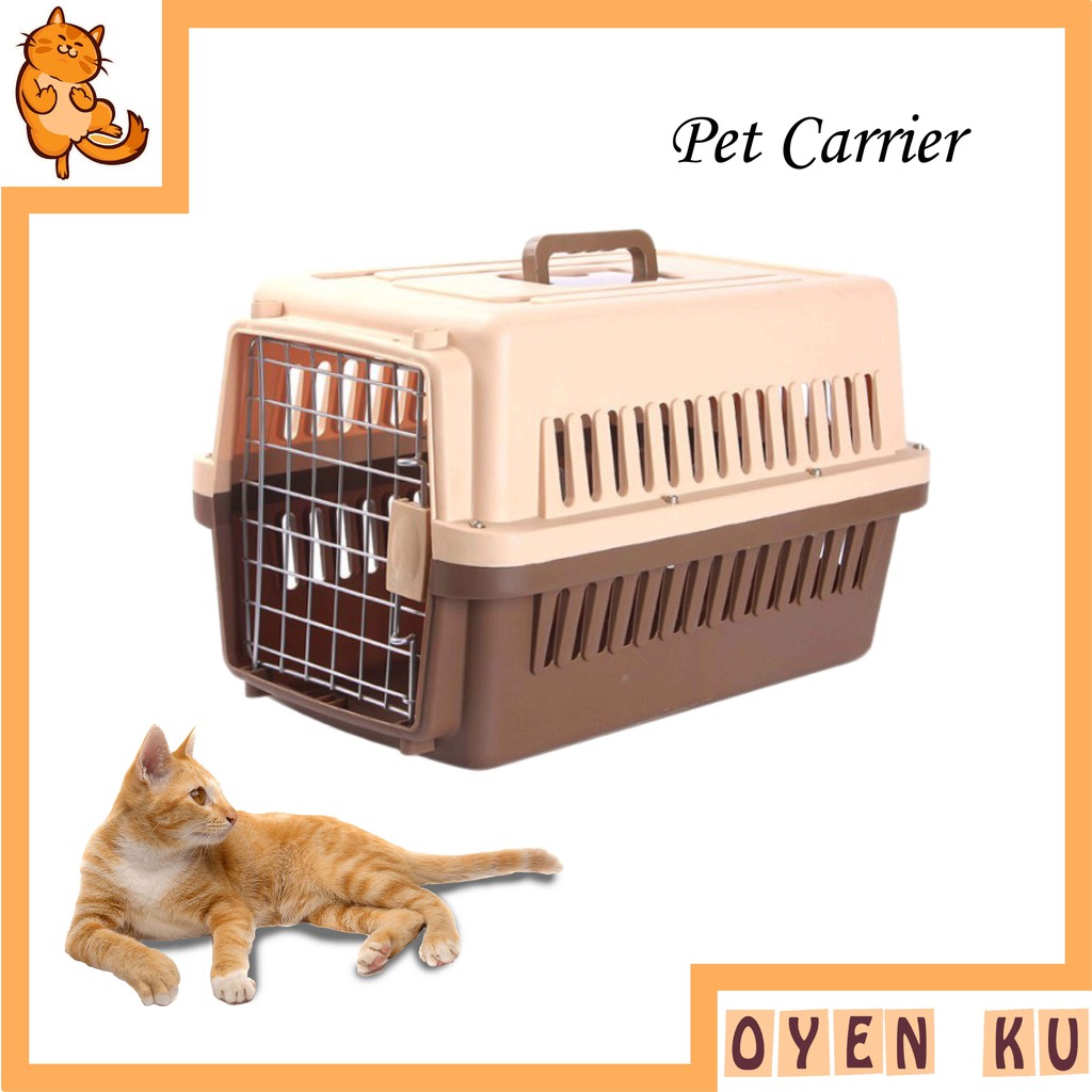 Carrier cat sale