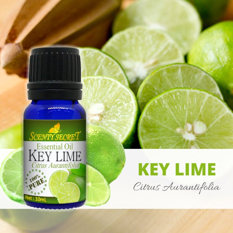 KEY LIME Essential Oil 100 PURE Scenty Secret Aromatherapy