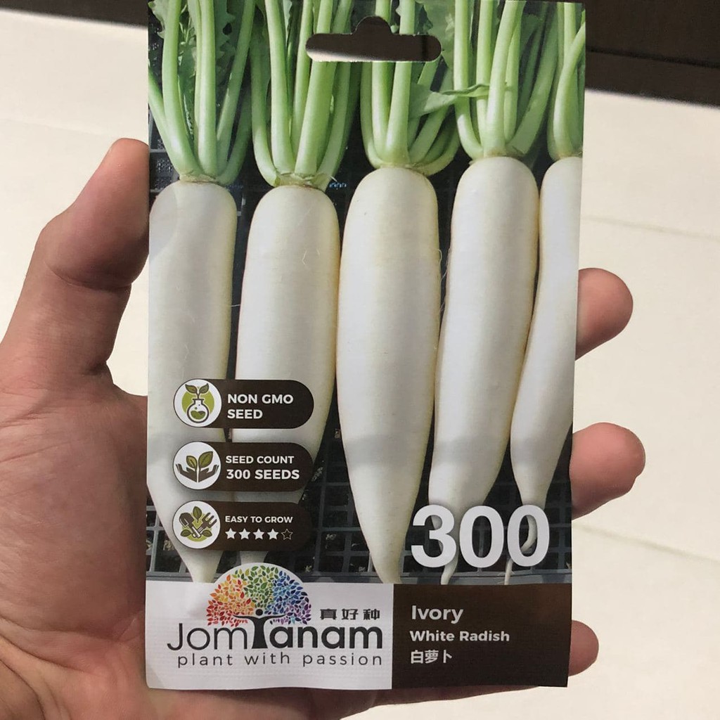 Benih Lobak Putih White Radish Jomtanam 300 300 Biji Shopee Malaysia