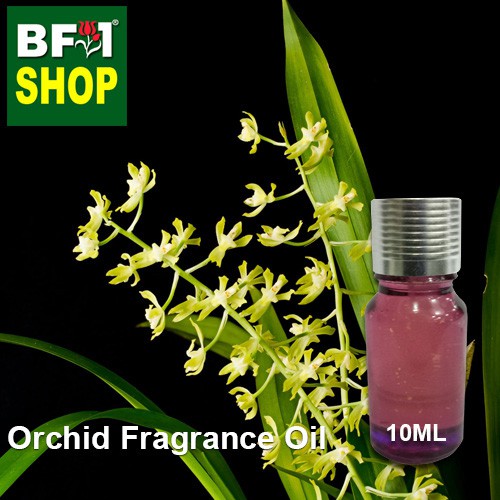 Orchid Fragrance Oil - Little man orchid > Gomesa crispa | Shopee Malaysia