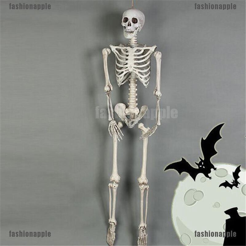 1Pc Halloween Simulated Figure Human Skull Skeleton Movable Mr. Bones  Skeleton Human Model Skull Full Body