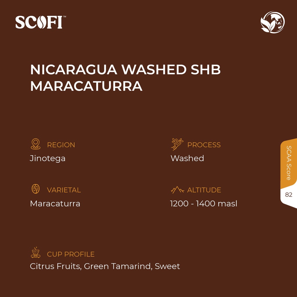 Caffè Verde Arabica In Grani Nicaragua Matagalpa El Baron