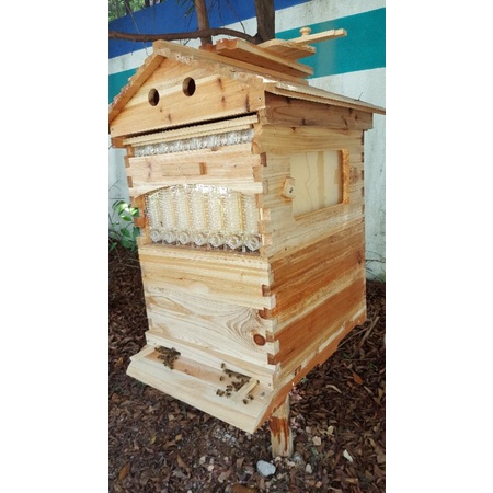 (Malaysia Ready Stock)Beekeeping Plastic Flow Frames Honey bee hive ...