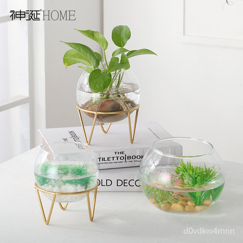 insWind Creative Stand Vase Glass Transparent Scindapsus Aureus Hydroponic Flower Pot Dining