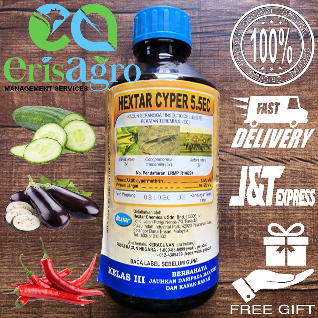 HEXTAR CYPER 5.5EC - RACUN SERANGGA - LALAT BUAH, ULAT PENGOREK BUAH ...