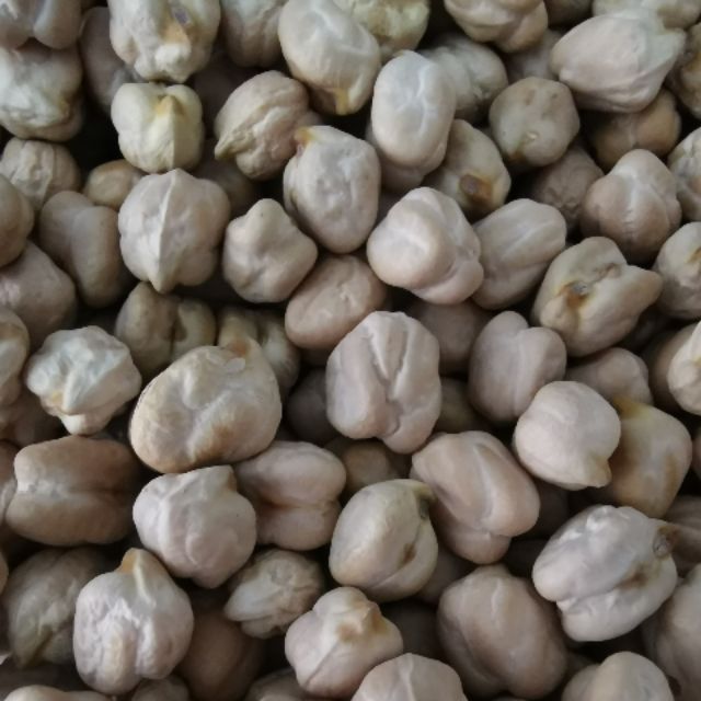 Chickpeas Kacang Kuda 300gm500gm1kg Shopee Malaysia