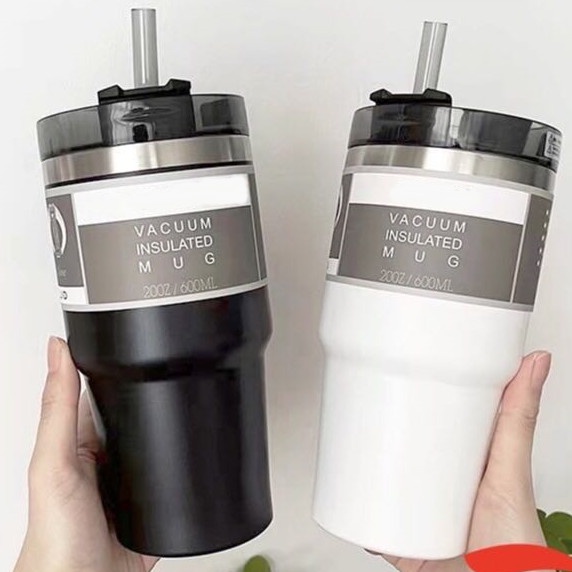 Korean Style Flask Cup with Straw ins style water bottle 304 Stainless