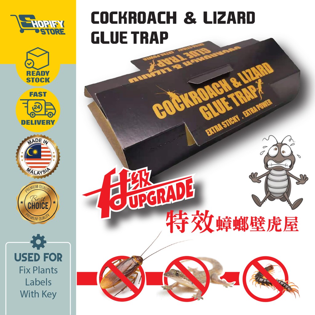 Lizard Glue Trap EN-167 | Poison-free | Effective | 3 PC PACK