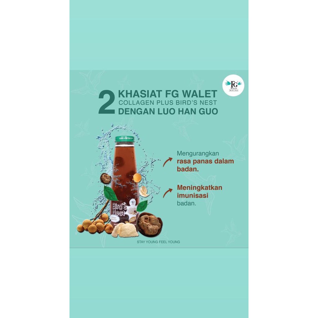 [ORIGINAL] FG Walet Birdnest Collagen Plus [Red Date][Honey+Longan
