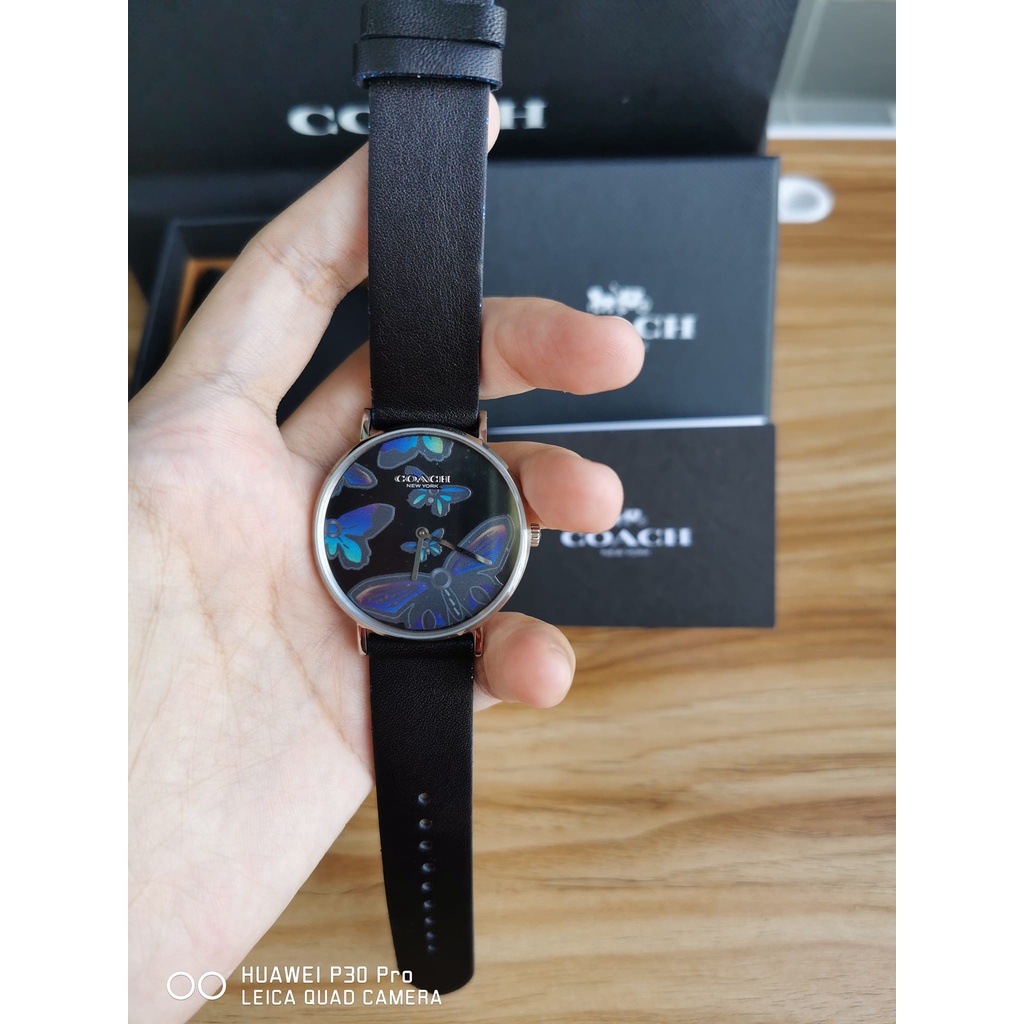 Coach butterfly watch online