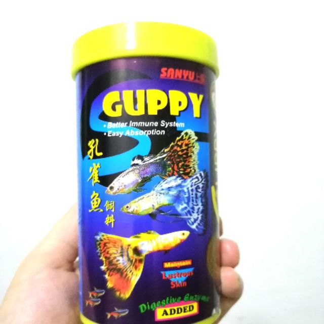 Memilih Jenis Makanan Terbaik untuk Guppy Agar Cepat Beranak