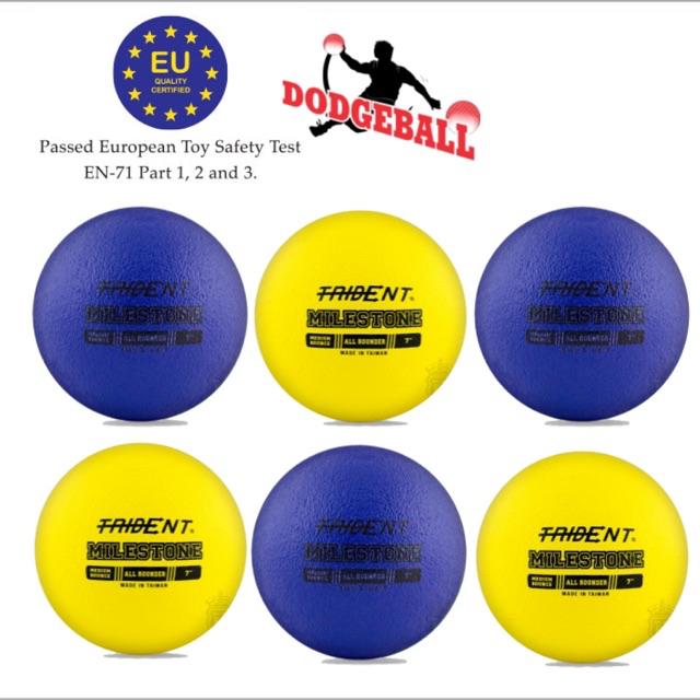 6 Dodgeball Official Size 6 Pcs Set Trident Milestone All Rounder