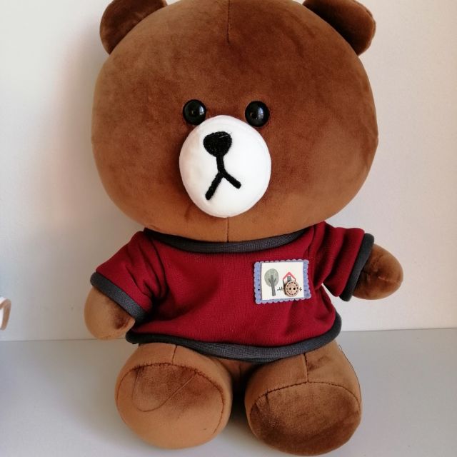 Shopee teddy shop bear