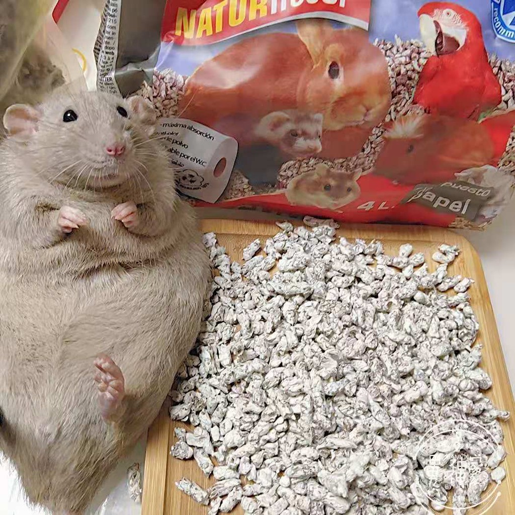 Hamster snacks 2024