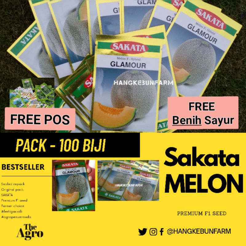 Benih Rock Melon Sakata Seed Glamour Free Benih Sayur Sakata Melon Shopee Malaysia