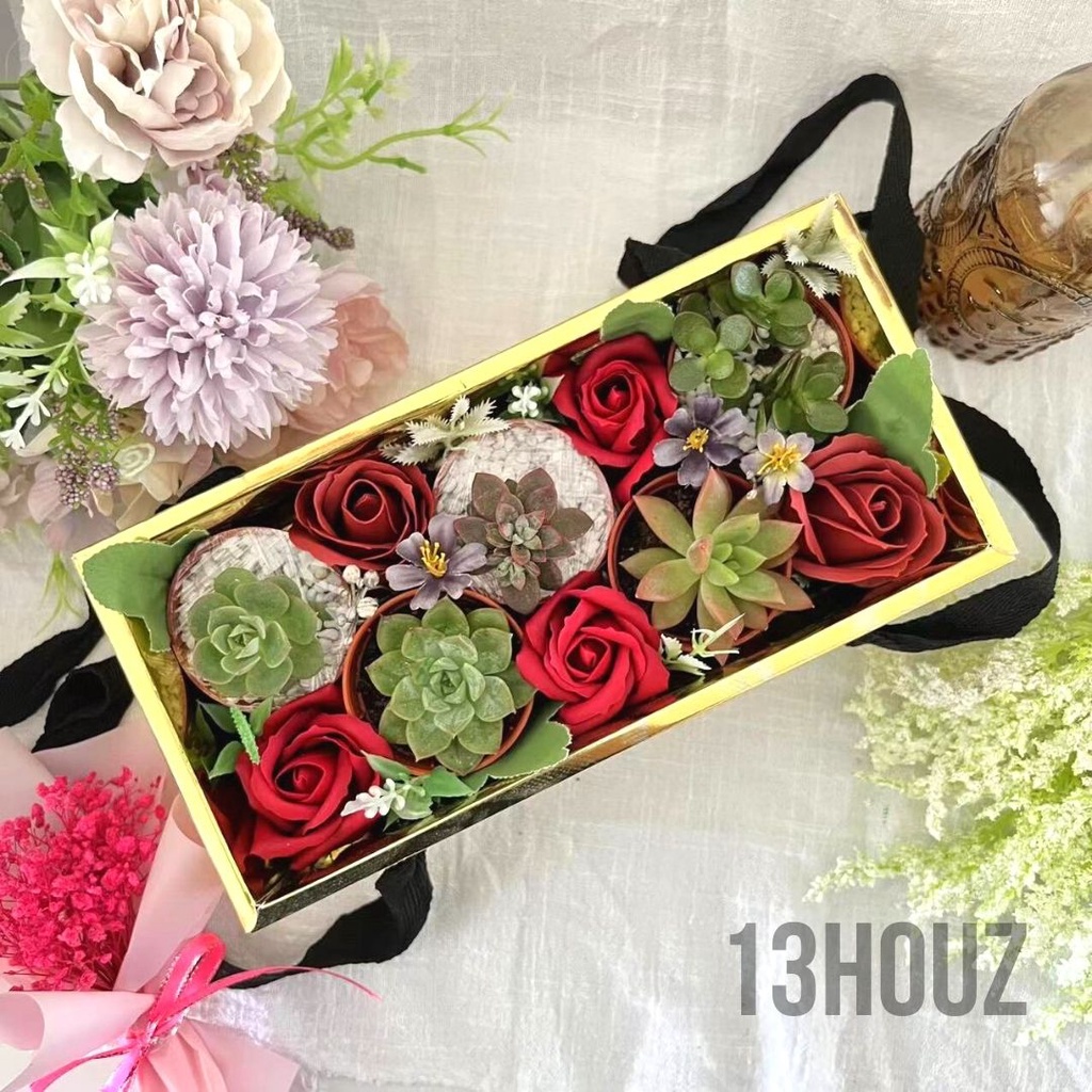【Ready Stock】 Premium 5 Pot Real Cactus Gift, Mother's Day Gift, Hadiah ...