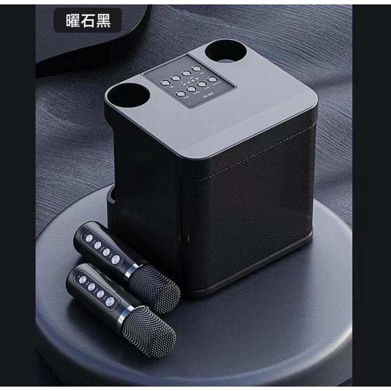 Portable Professional Karaoke Dual Microphone Bluetooth Speaker Smart ...