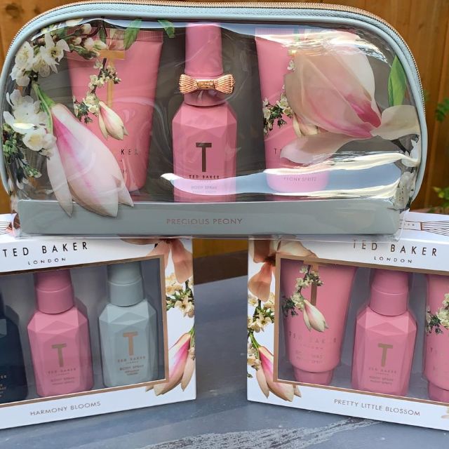 Ted baker london suitcase deals