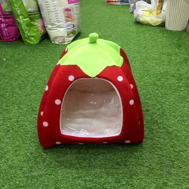 🔥strawberry cat bed/cat house for kitten🔥 Shopee Malaysia