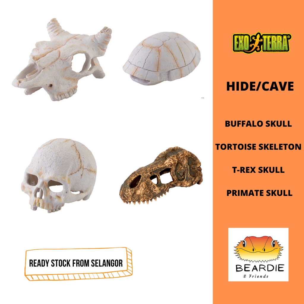EXO TERRA REPTILE CAVE / HIDE SMALL SKULL FOR SNAKE GECKO (PT2925 ...