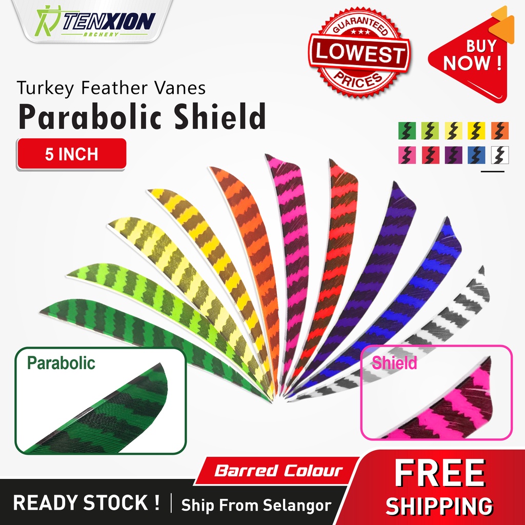 12pcs TenXion Archery 5" Turkey Feather Parabolic Shield Vanes Arrows