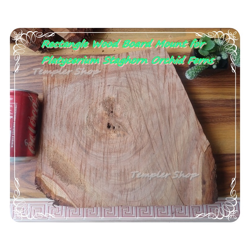 Rectangle Wood Board Mount for Plants Platycerium Staghorn Orchid Ferns