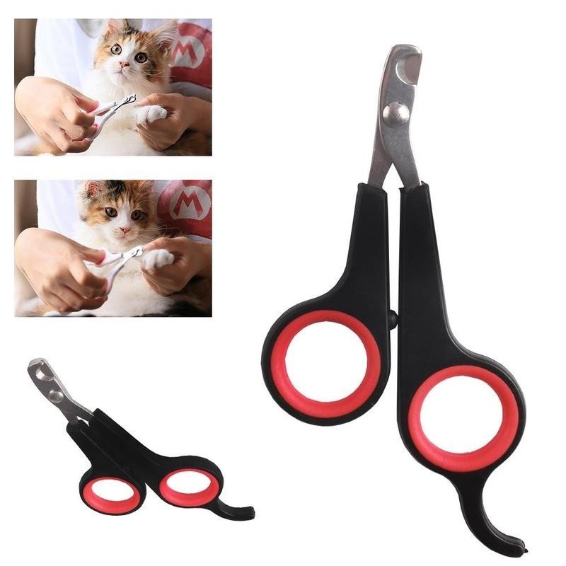 Small store pet clippers