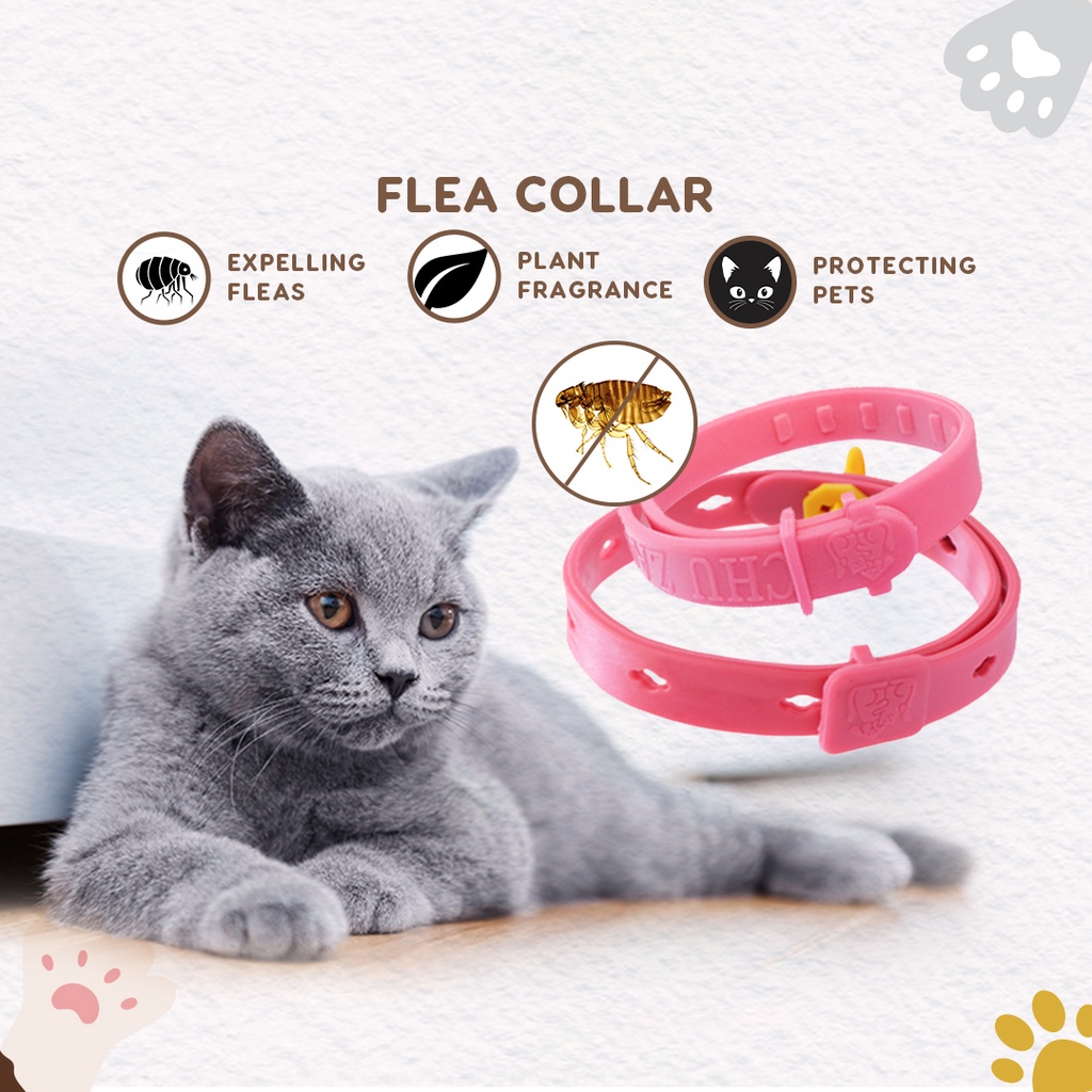 Anti flea clearance collar for cats