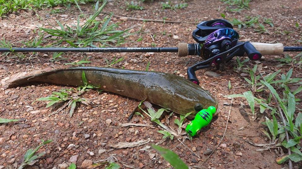 EXP MEXI 28 Soft Rubber Frog Lure Bait Mini Croc Casting Haruan Toman ...