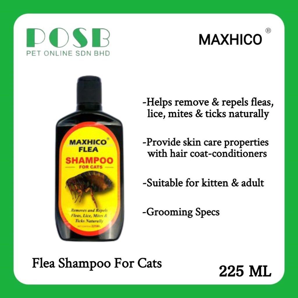 Cats and mites outlet shampoo