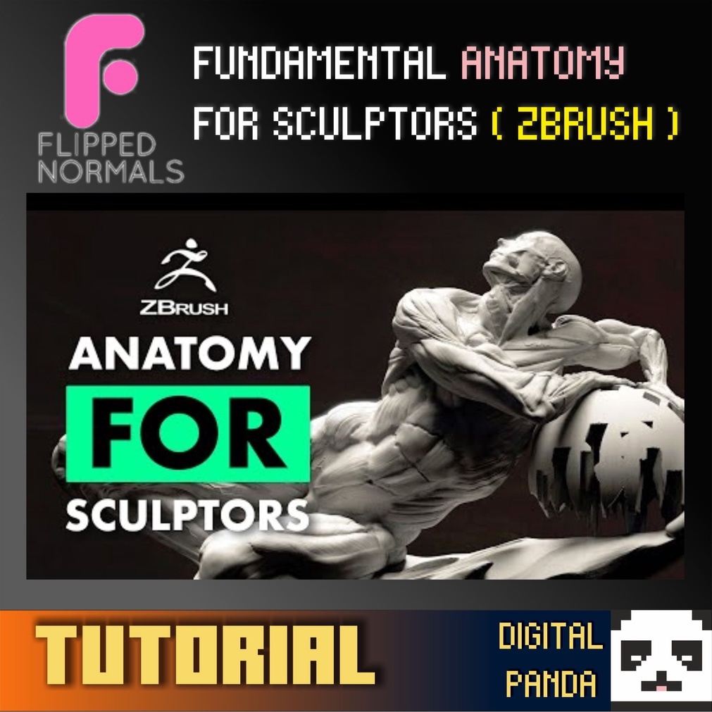 [FULL TUTORIAL] FUNDAMENTAL ANATOMY FOR SCULPTORS ( ZBRUSH ) | Shopee ...