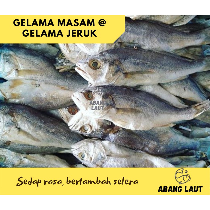 Ikan Gelama Masam Gelama Jeruk Ikan Kering Ikan Masin Gelama Salted