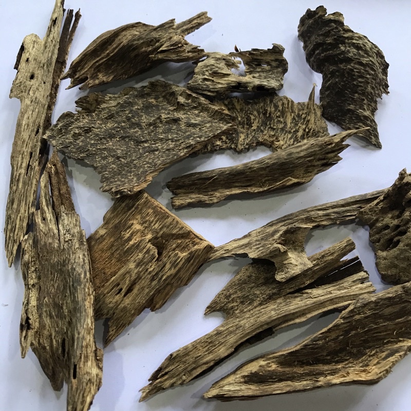 Oud Chips Malaccensis B (per gram) Shopee Malaysia
