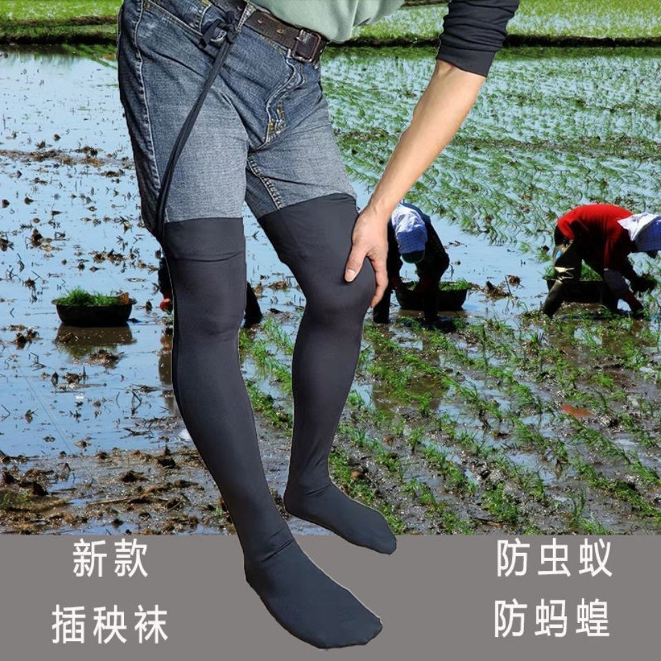 Insect Prevention Socks paddy field stockings insect proof ant anti ...