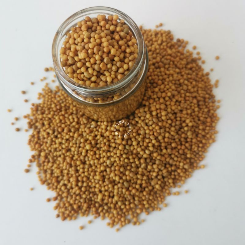 OSMOCOTE NPK 161616 for Variegated Plants Adenium Orchid Cactus