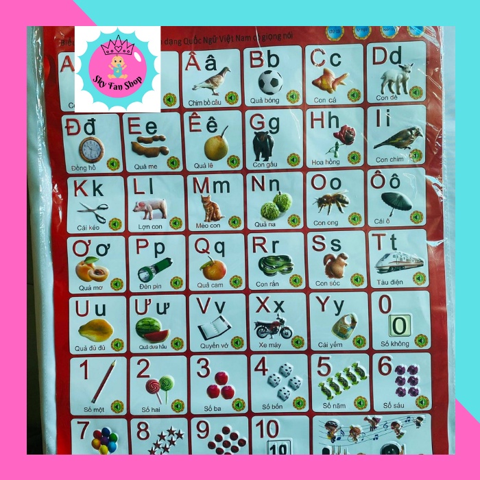 Multi-functional ALPHABET WITH READING NUMBERS AND RECEIVING TO CHECK ...