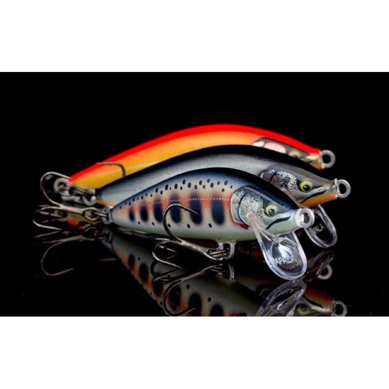 RAPALA CountDown Elite 5.5cm # CDE55-GDRB Lures buy at