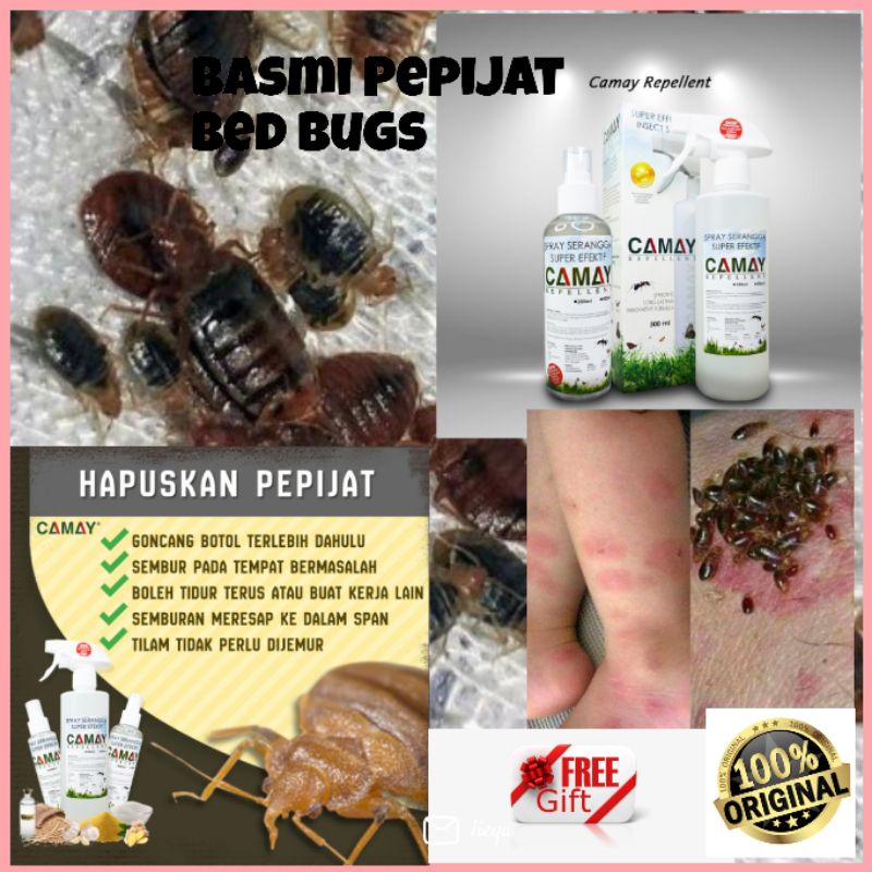 Ubat kutu kucing paling berkesan Camay spray racun semut berkesan bed ...