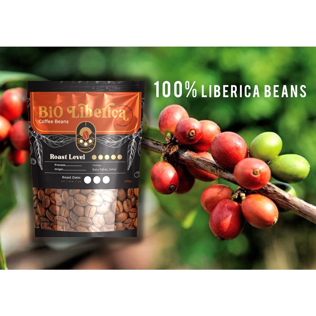 [ BIO LIBERICA ] Roasted Coffee Bean 250g 100 Liberica Beans Batu Pahat, Johor Shopee