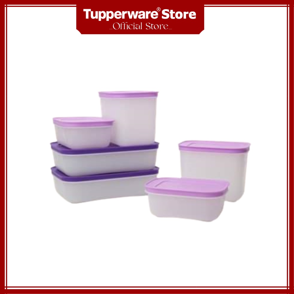 Freezermate Gen II Violet Winter Storage Box Set (6 Boxes) | Shopee ...